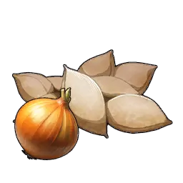 Onion Seeds