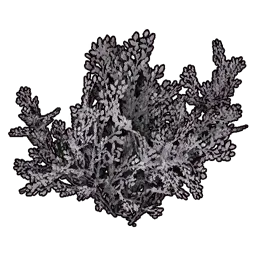 Faux White Bush