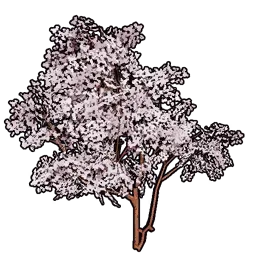 Faux Cherry Blossoms A