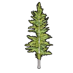 Faux Greenery C