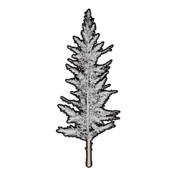 Faux Snowy Greenery C