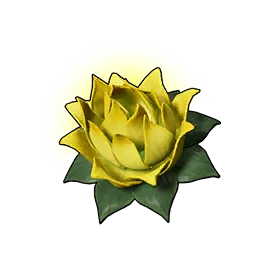 Stamina Lotus (S)