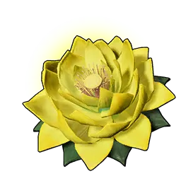 Stamina Lotus (L)