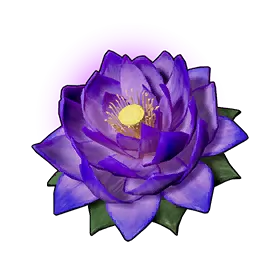 Carrying Lotus (L)