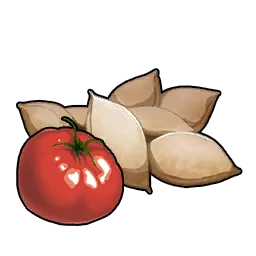 Tomato Seeds